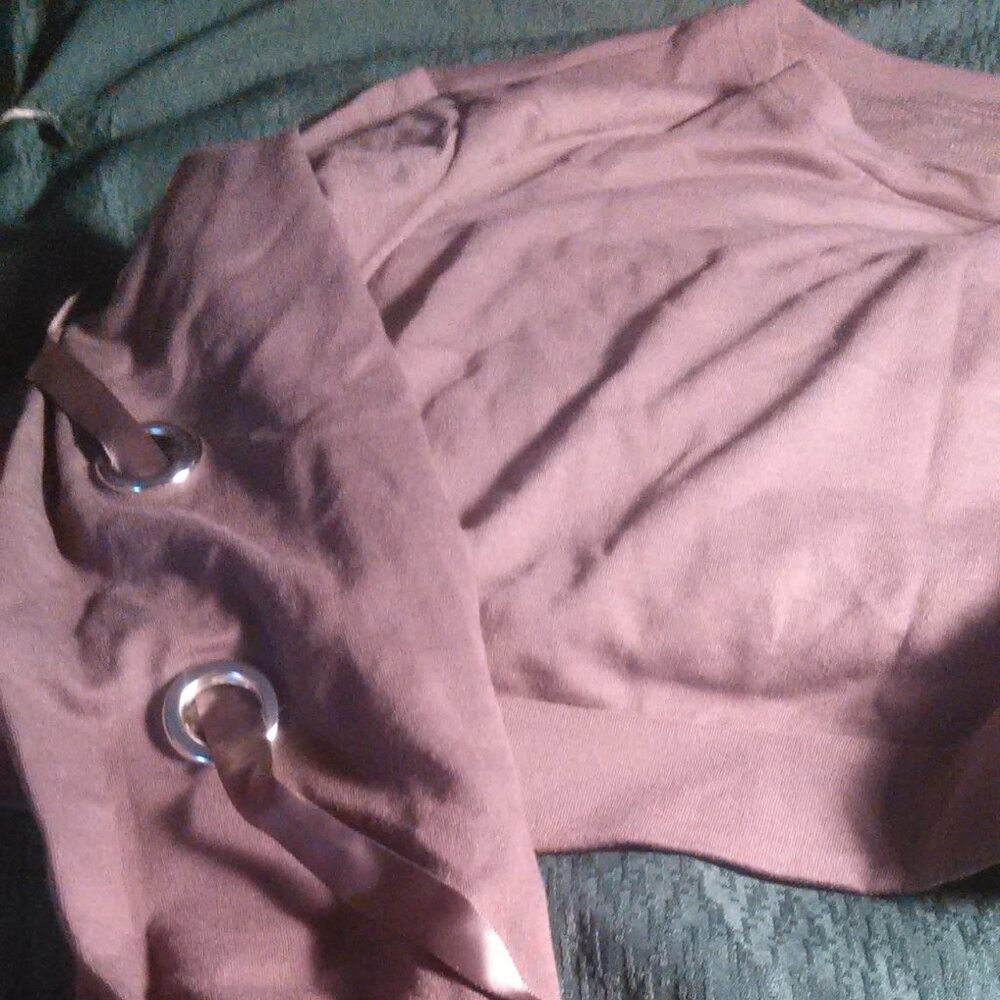 Long Sleeve Brown Ribboned Crop Top